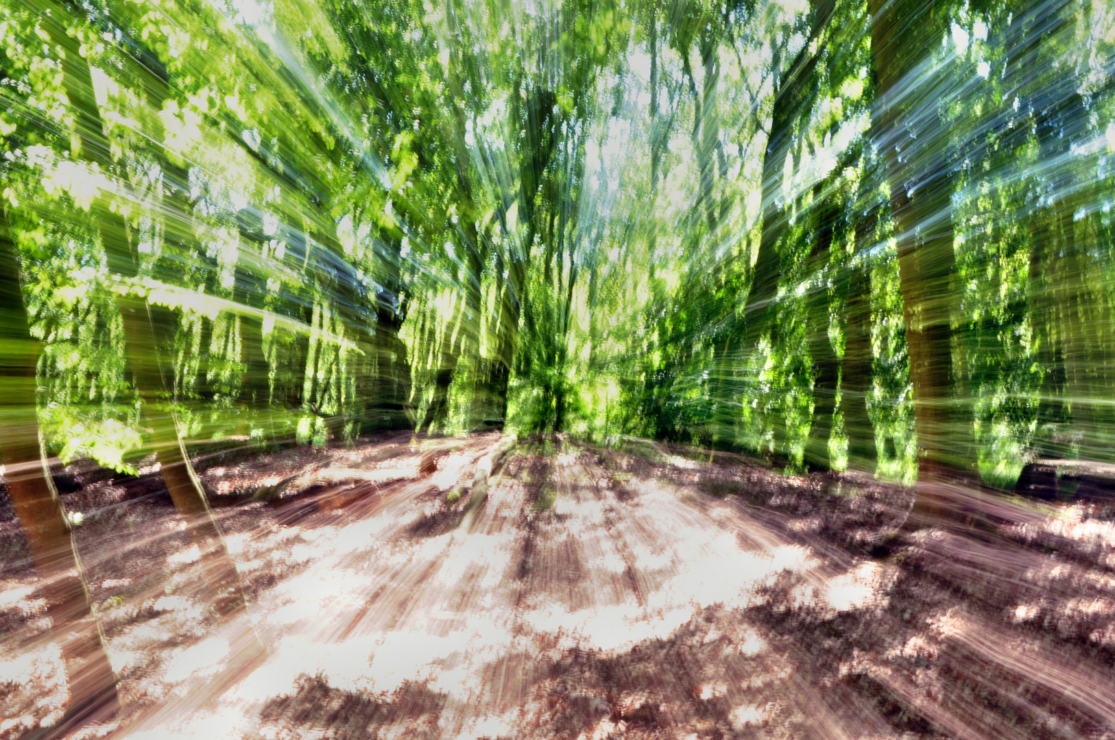 Schneller Wald