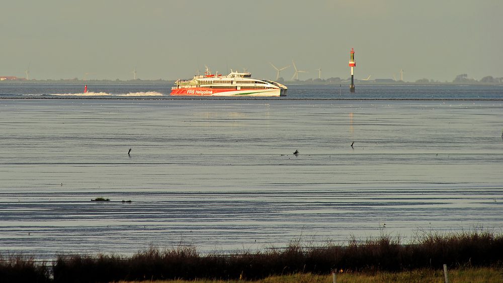 Schnellfähren-Katamaran kommt zurück (Höhe Döse) von Helgoland nach Cuxhaven und weiter nach Hamburg