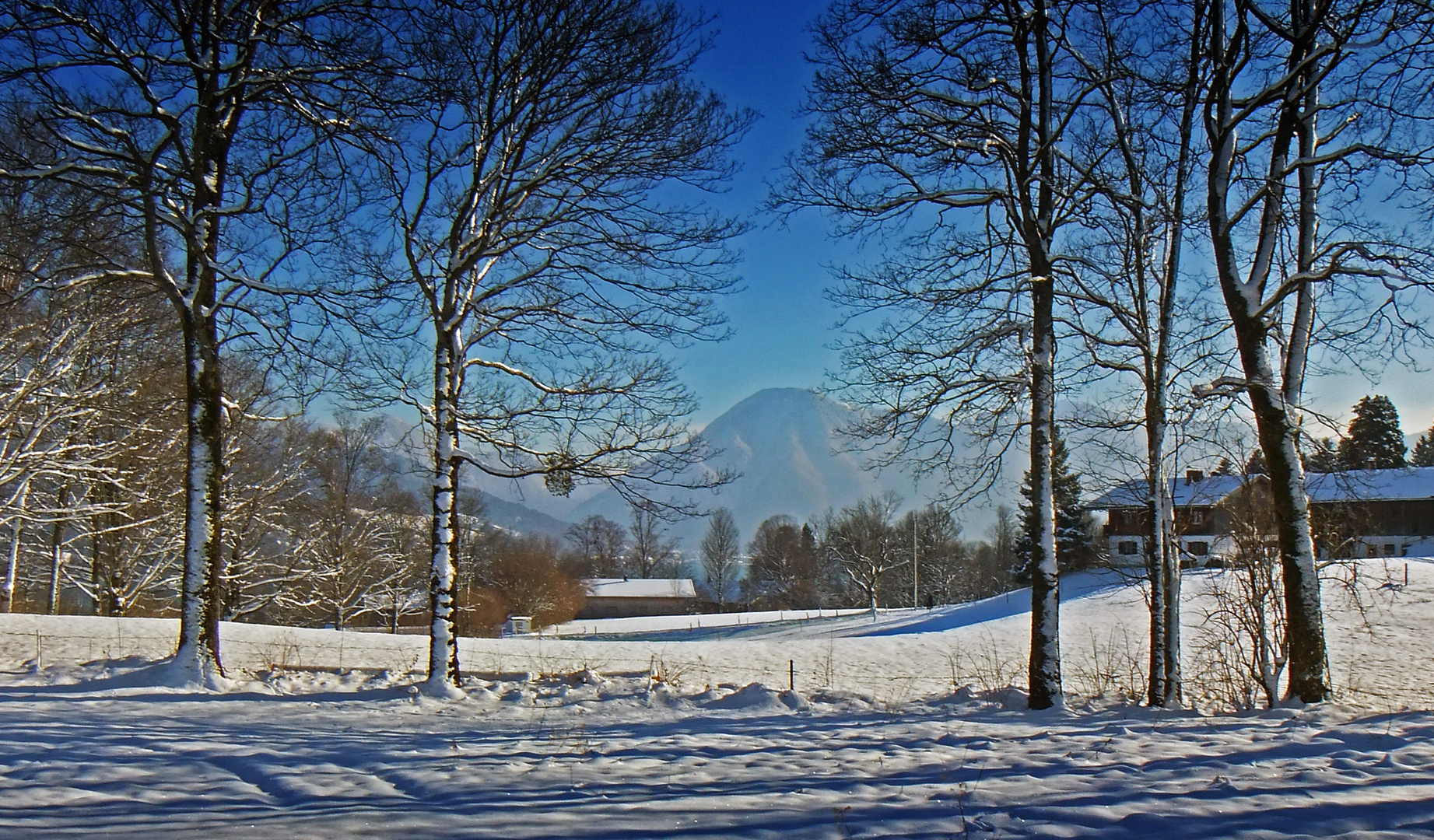 Schnellschuss aufs Tegernseer Winterwunderland...