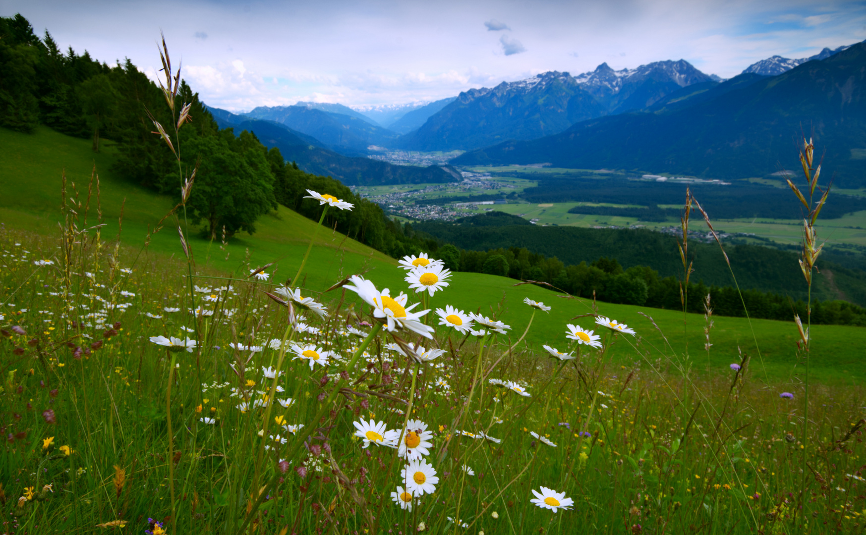 Schniffnerberg