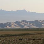 Schnittlauch vor Düne