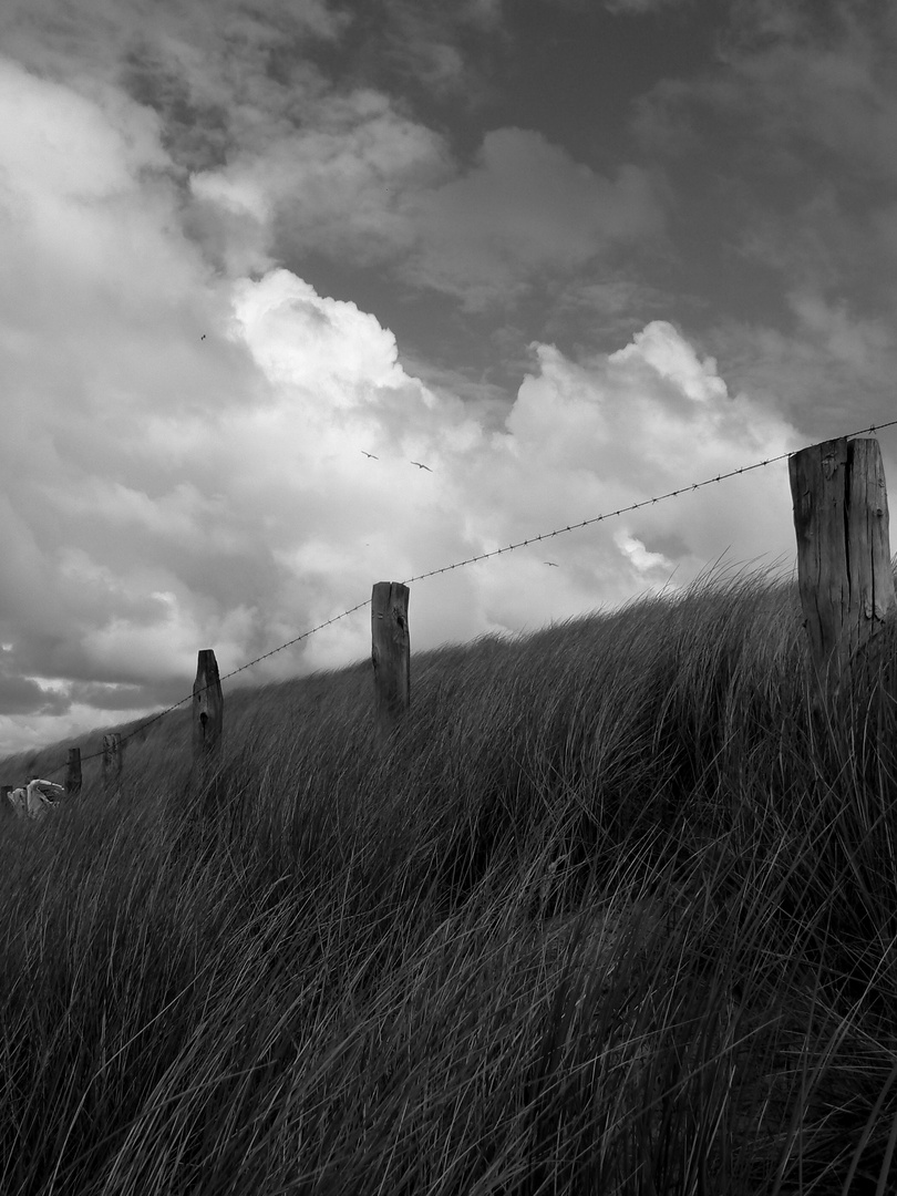 Schnittstelle Dünen zum Strand.