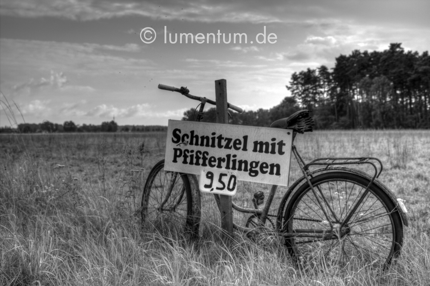 Schnitzel mit Pfifferlingen