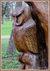 Schnitzerei - Kunst aus einem Baum - Eule