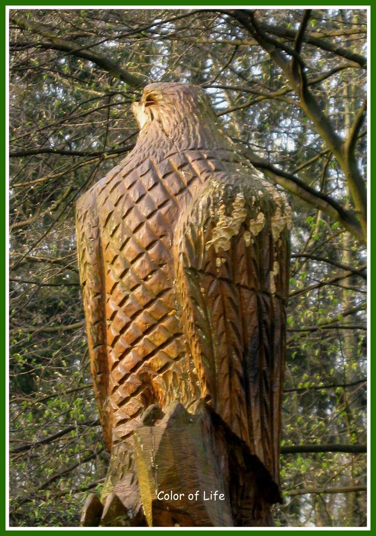 Schnitzerei - Kunst aus einem Baum - Vogel