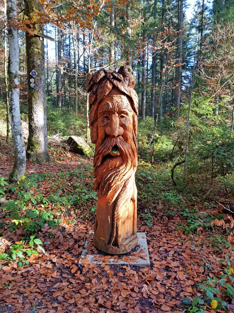 Schnitzfigur auf Wandertour Lauterquellen im Wald