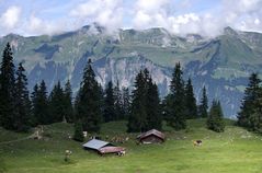 Schnitzlerweg Axalp...