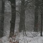 Schnneesturm auf dem Inselsberg