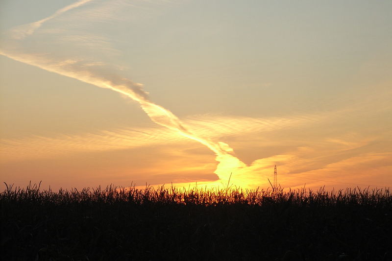 Schnörkel in der Wolke