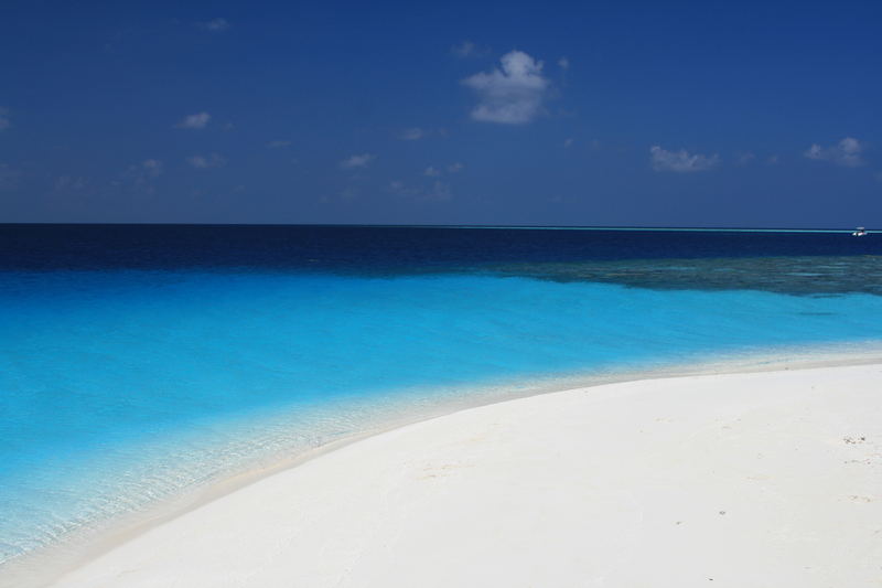 Schnorcheln auf der Sandbank