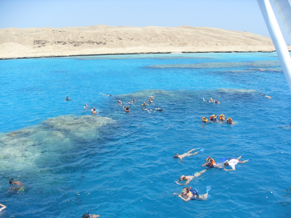 Schnorcheln in Hurghada