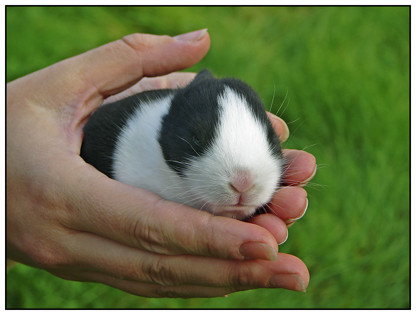 Schnuffelchen...