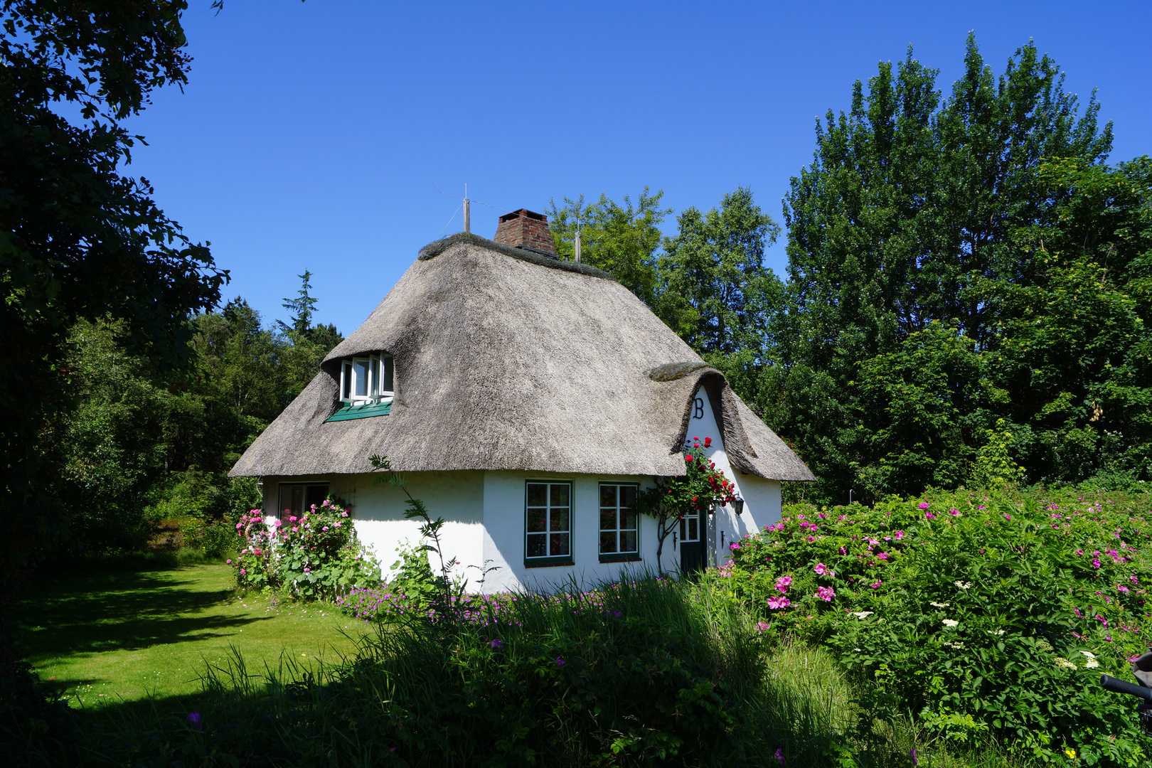 Schnuggeliges Friesenhaus