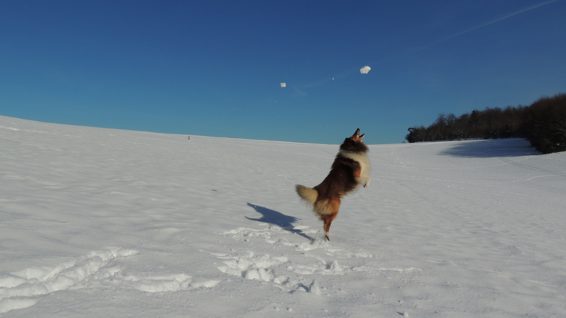 Schnund im Flug