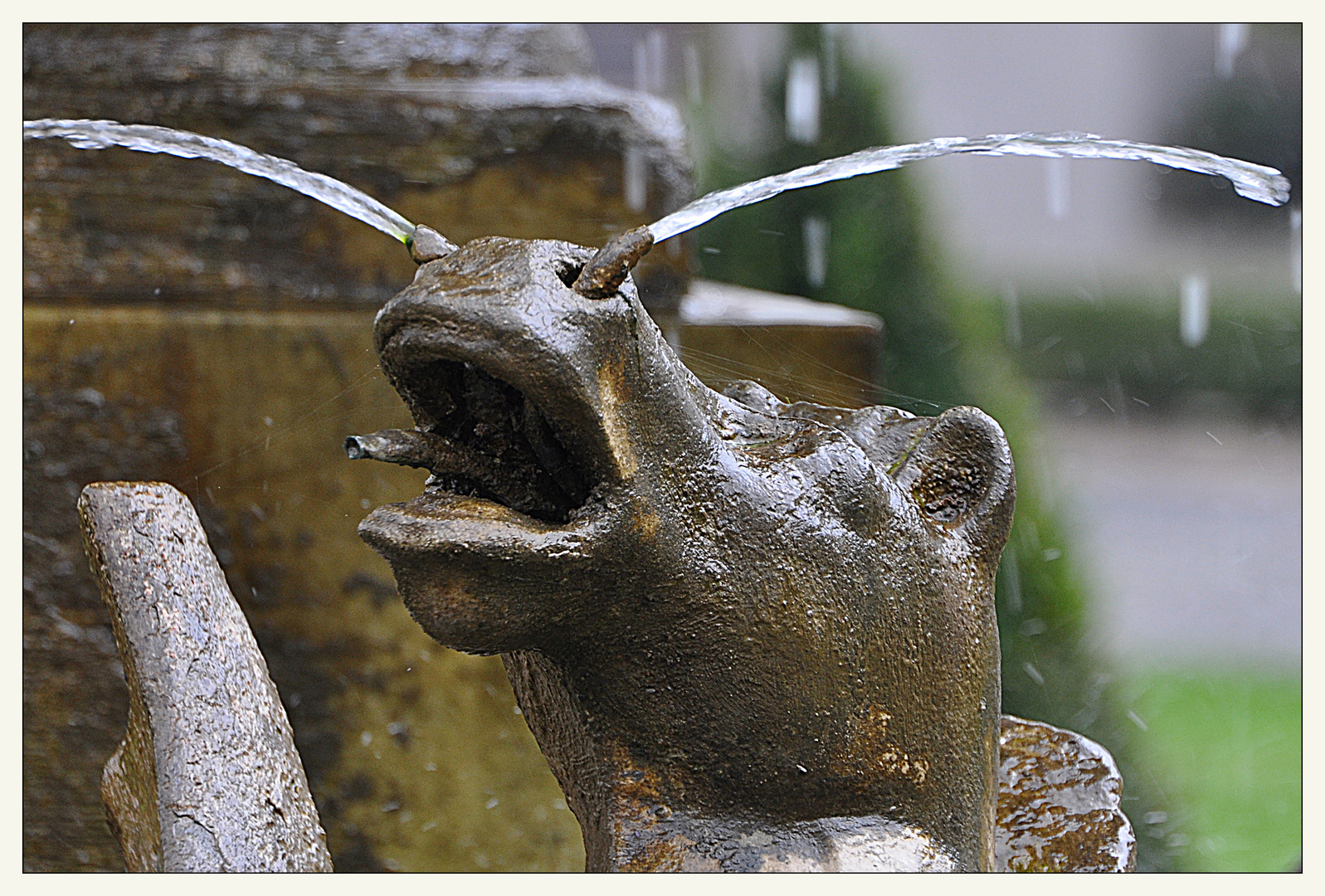 Schnupfenwetter ...