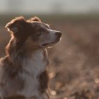 *schnupper* Liegt da etwa Frühling in der Luft?