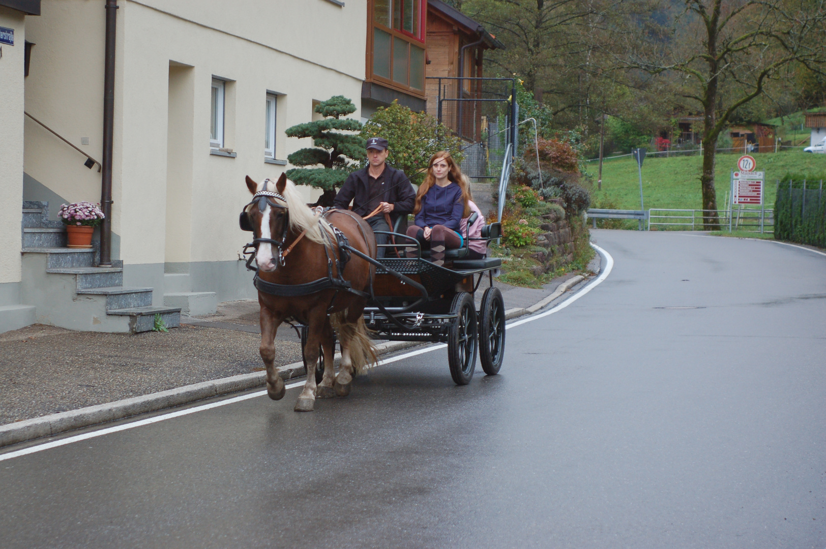 Schnupperkutschenstunde III