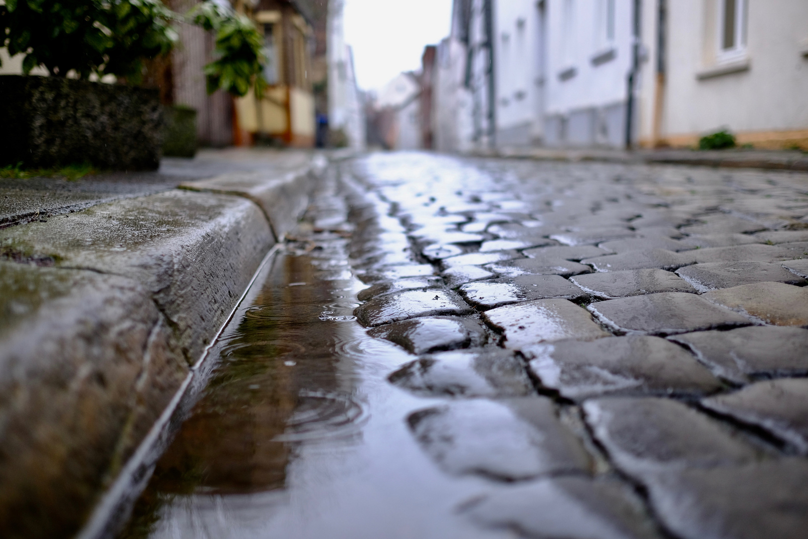 Schnurrviertel im Regen