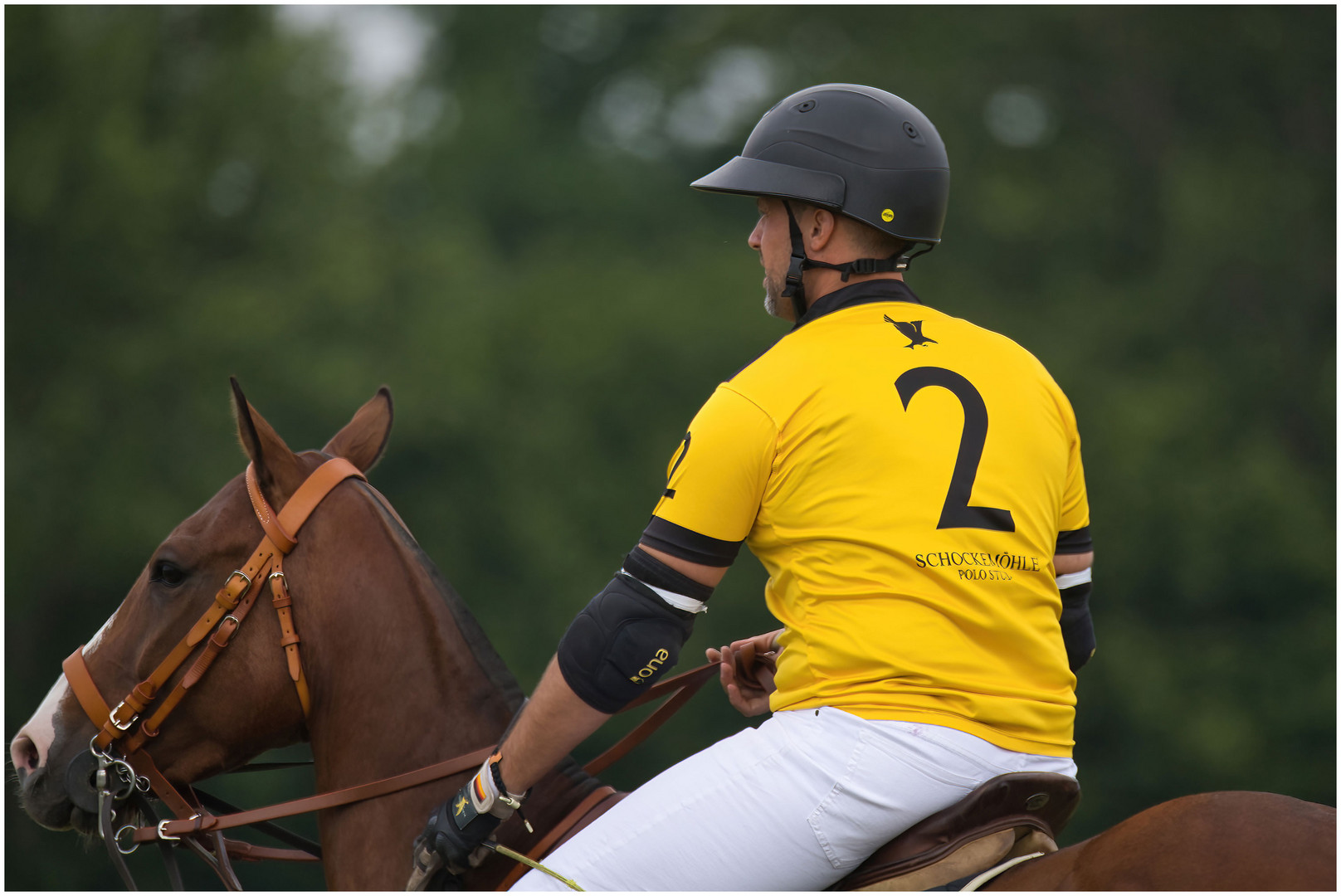 Schöckemöhle Polo Stall