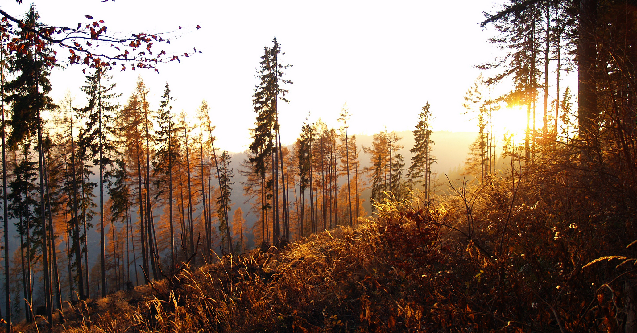 Schöckl-Herbst