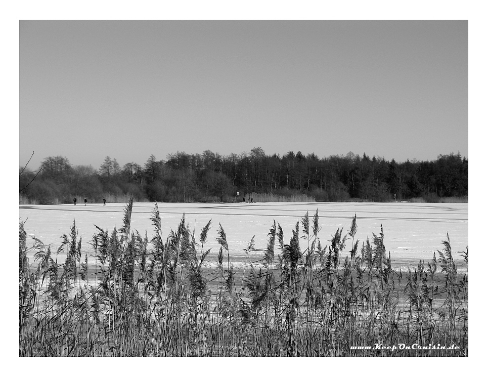 Schöfeln auf dem Woldsee...