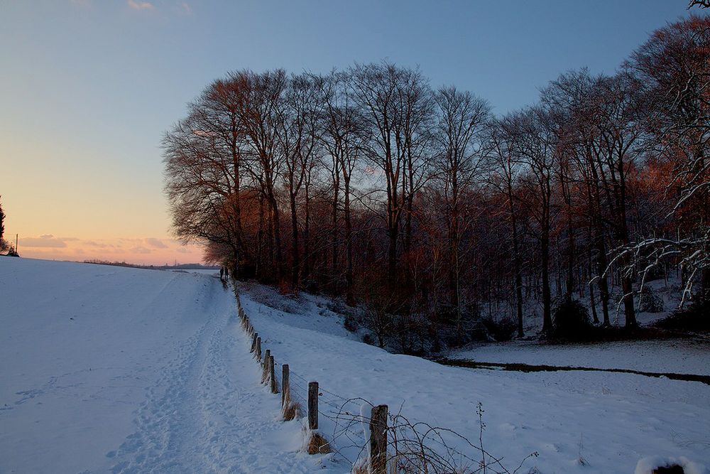 Schöller Feldweg