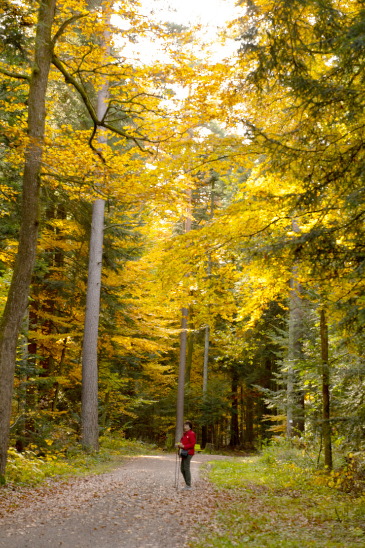 Schömberg im Herbst