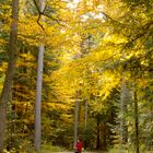 Schömberg im Herbst