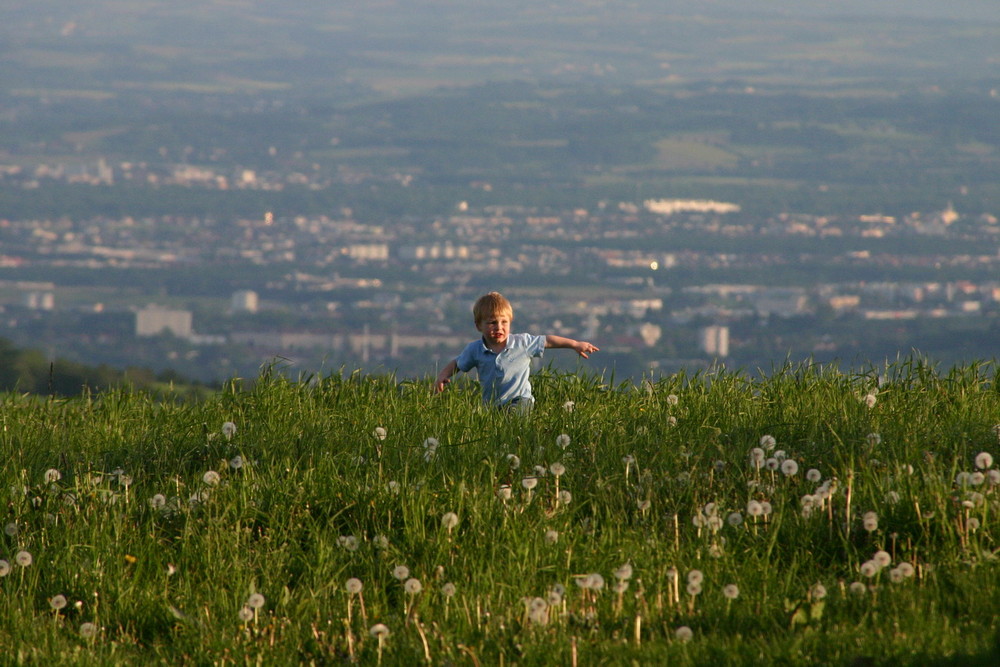 Schön auf der Wiese bleiben und nicht in die Stadt laufen!