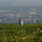 Schön auf der Wiese bleiben und nicht in die Stadt laufen!