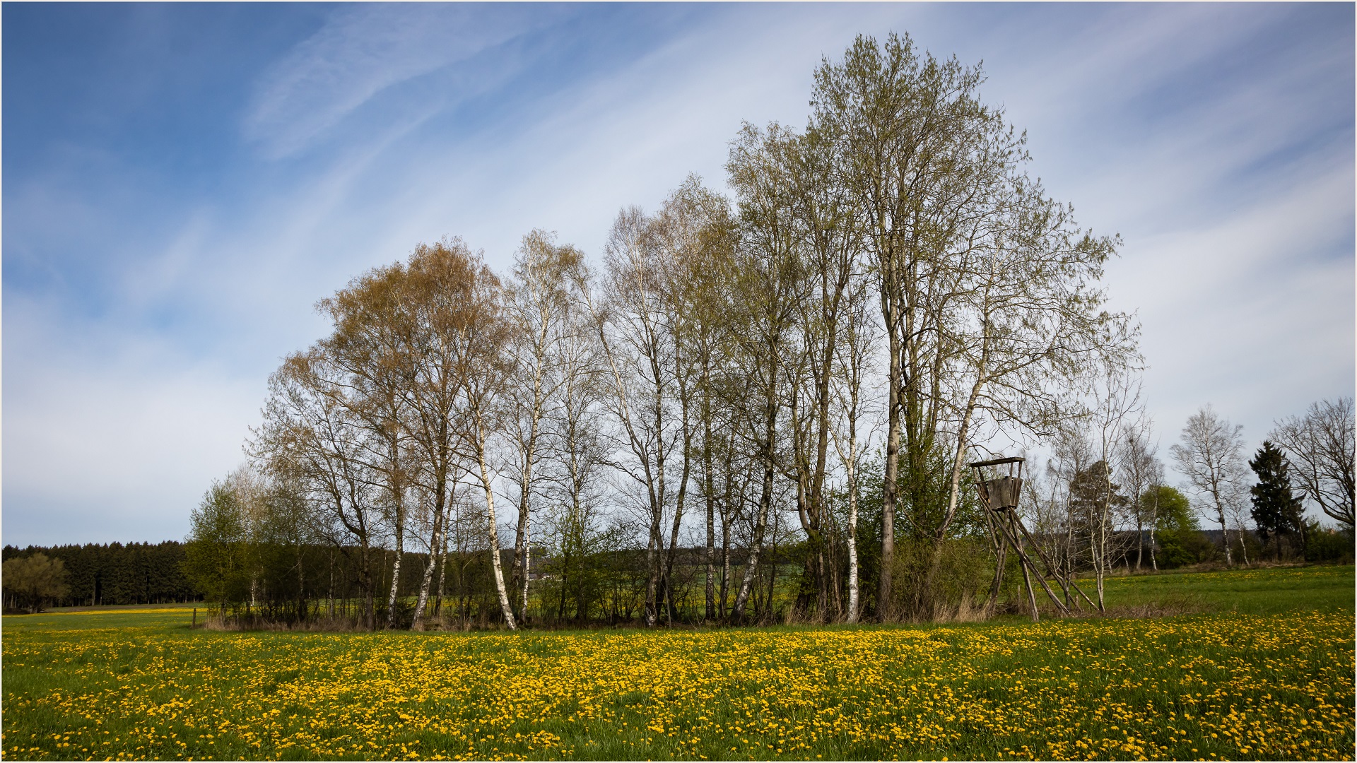 Schön, dass der Frühling heuer an einem Samstag war