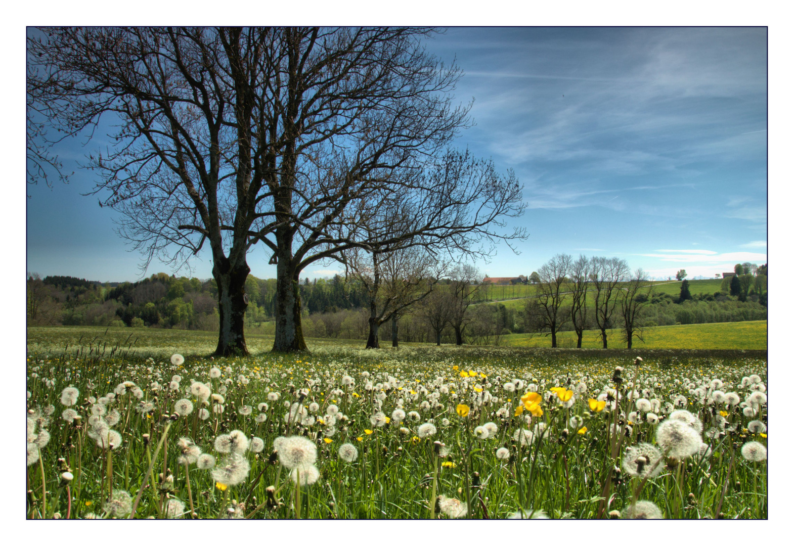 Schön dass er immer wieder kommt, der Frühling...!