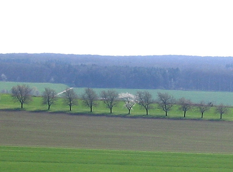 Schön der Reihe nach...