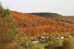 schön, dieser Blick auf den "Nassen Wald"