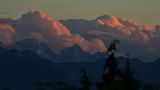 Schön färbt die untergehende Sonne die Wolken über den Julischen Alpen von Kosche Günther 