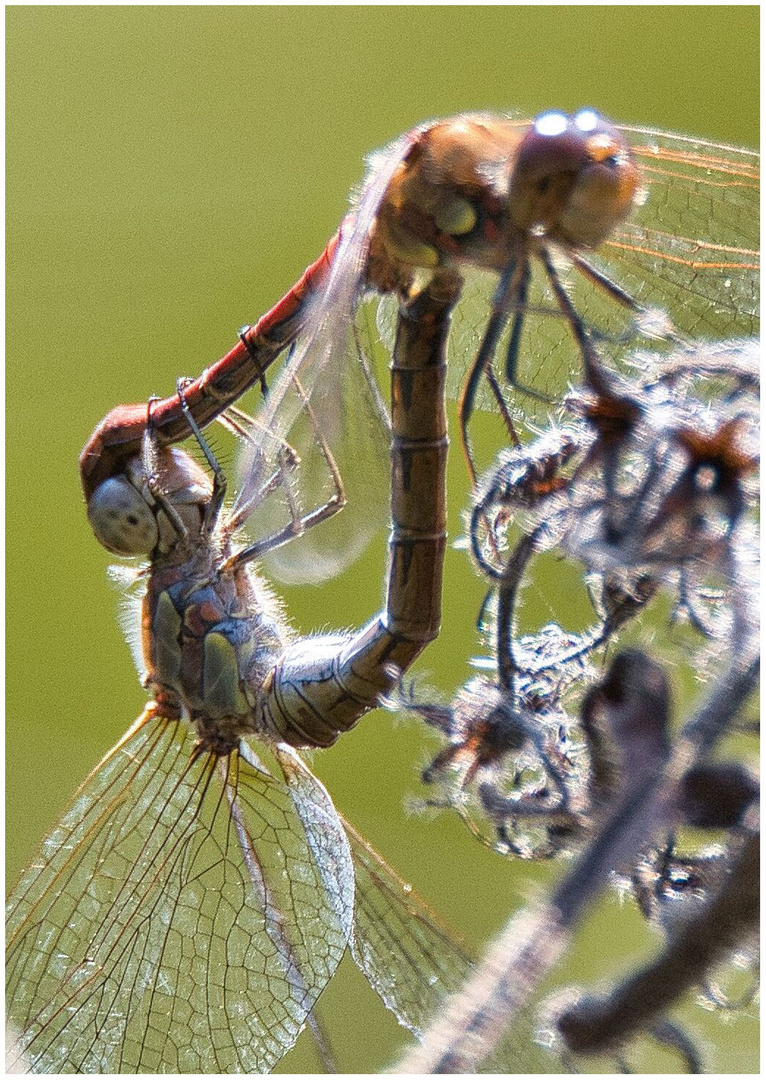 schön festhalten