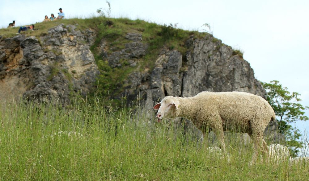 schön gemütlich