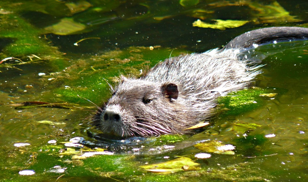 Schön gemütlich...