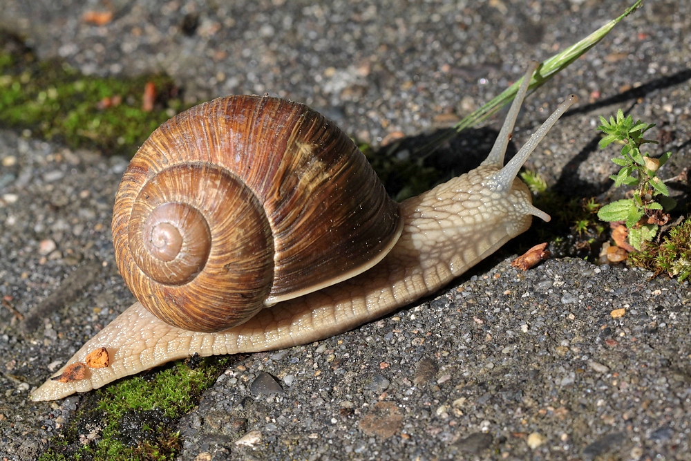 Schön gemütlich ...