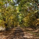 schön herbstlich