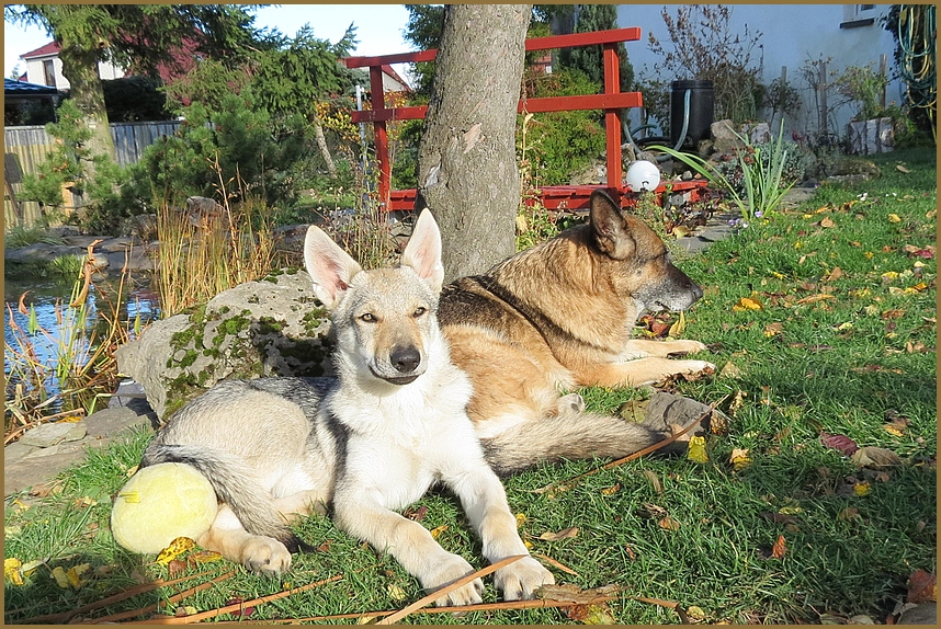 schön in der Sonne hier