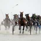 Schön in Formation und mit Flugbegleitung