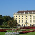 Schön in Schönbrunn