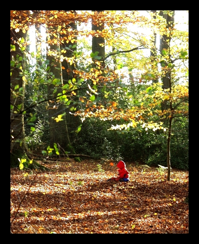 Schön ist der Herbst