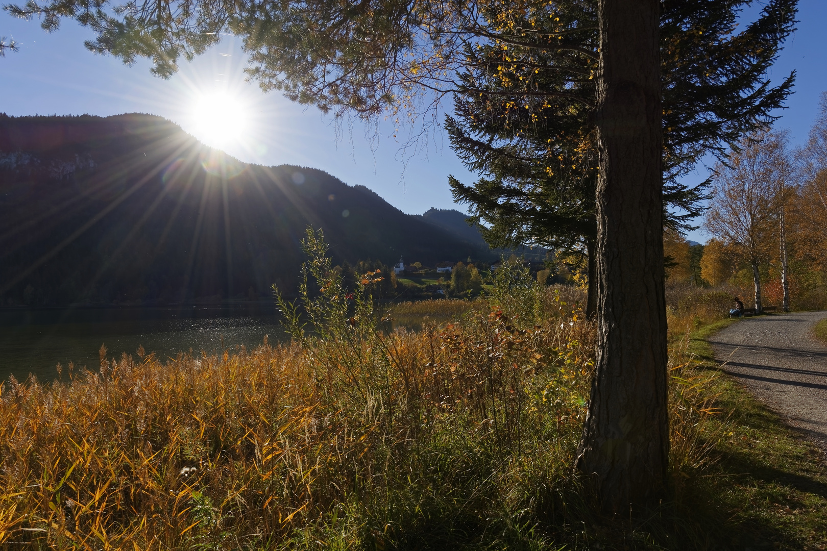 Schön ist der Herbst