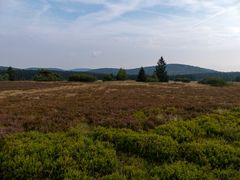 Schön ist die Heide