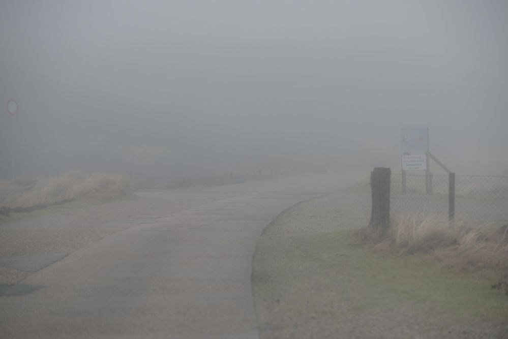 Schön ist es im Nebel zu wandern.           DSC_7697