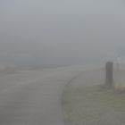 Schön ist es im Nebel zu wandern.           DSC_7697