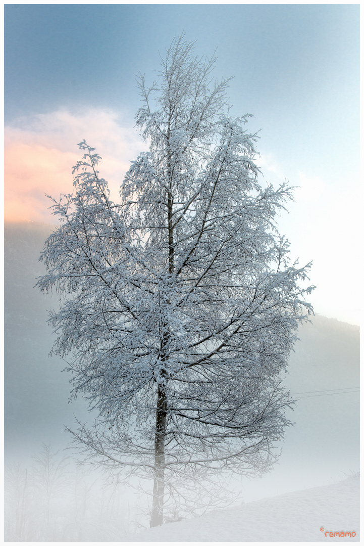 Schön ist im Nebel zu Wandern