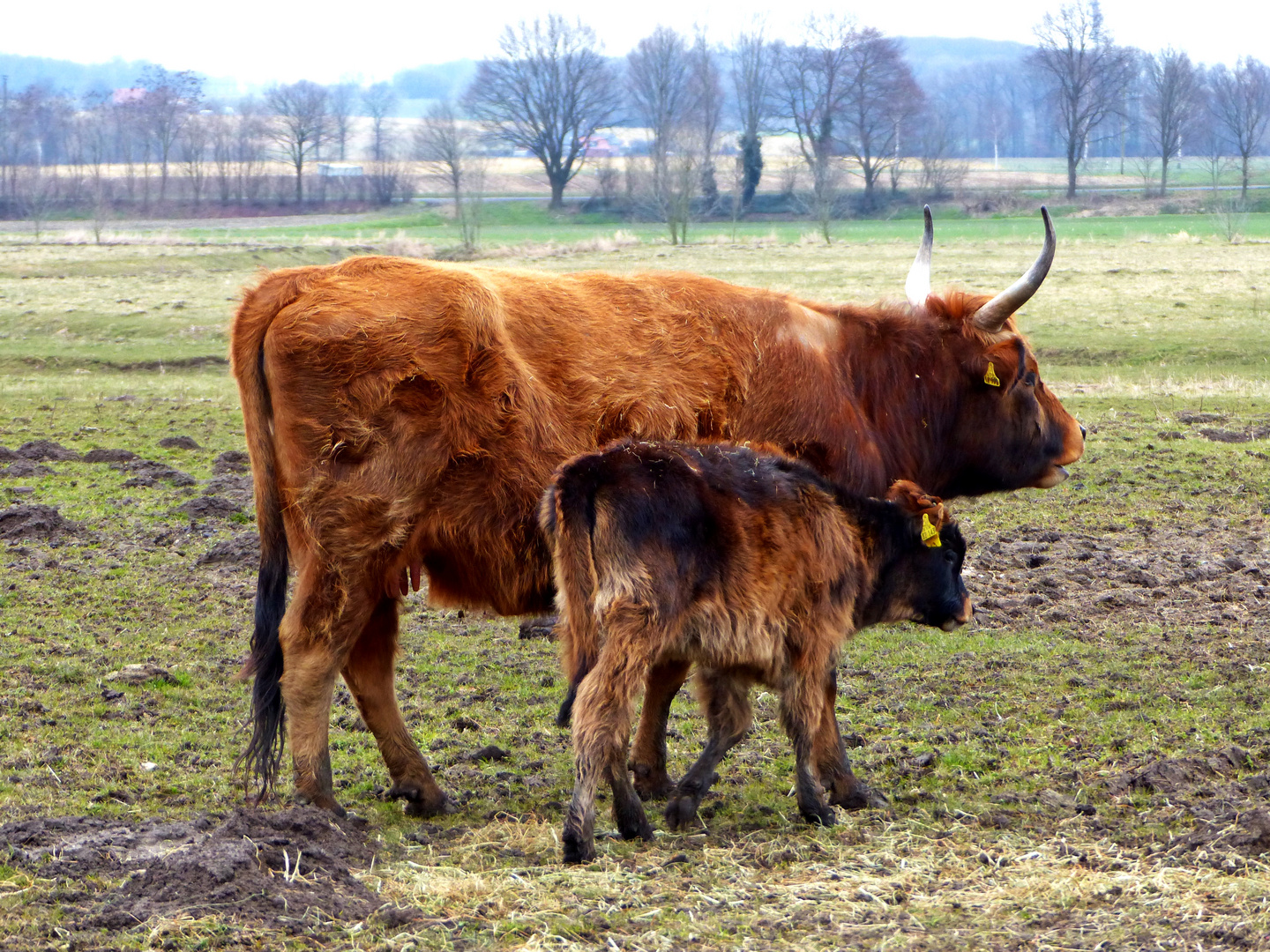 Schön ist sie... Foto & Bild | tiere, haustiere, sonstige Bilder auf